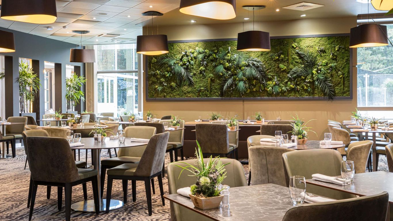 إيبيس ليون جيرلان موزيه ديه كونفليونس