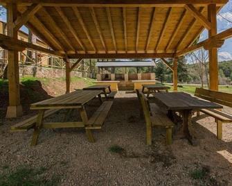 Rural house (full rental) Centro Río Lobos for 4 people - Hontoria del Pinar - Patio