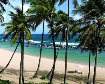 Dorado Beach a Ritz-Carlton Reserve - Dorado - Playa