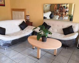 Nice Apartment Near The Center Ground Floor - Zacatlan - Sala de estar