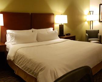 Holiday Inn Express & Suites Lancaster By IHG - Lancaster - Quarto