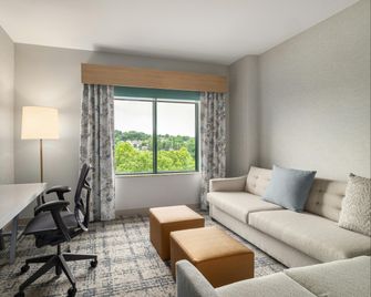 Hilton Garden Inn Arlington Shirlington - Arlington - Wohnzimmer