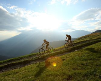 Hotel Stamserhof - Andrian