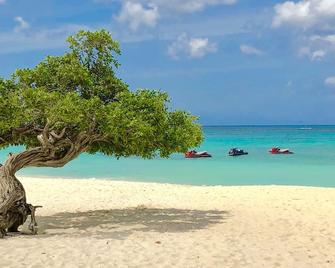 Genesis Apartments - Oranjestad - Beach