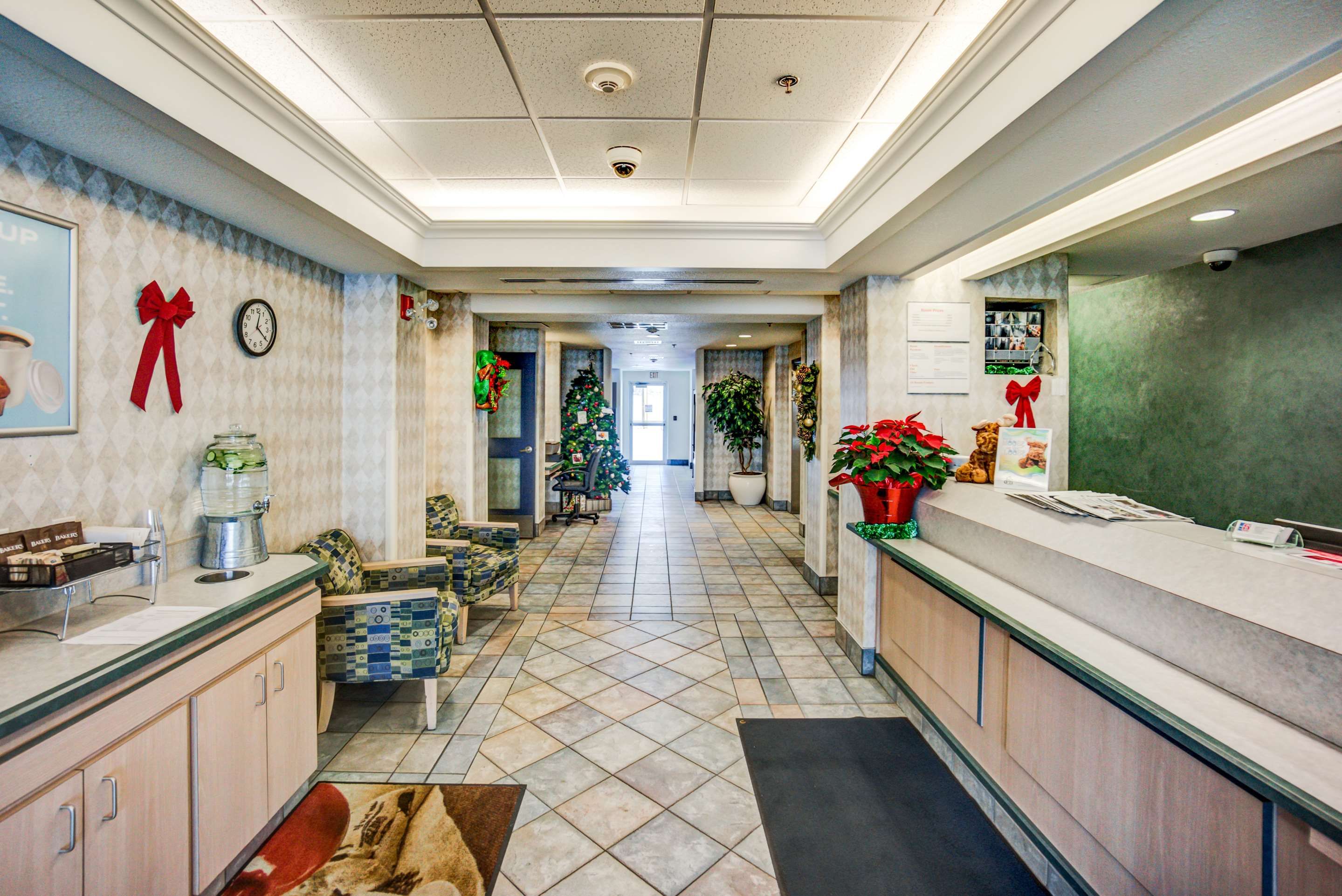 Motel 6 Red Deer thumbnail 3