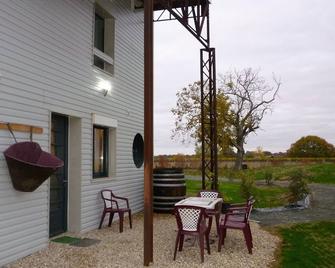 Gîte Des Vendangeurs, 6 Pers., Close Atlantic Ocean Beaches, Spa, Wifi And Air Conditioning - Saint-André-de-Lidon - Patio