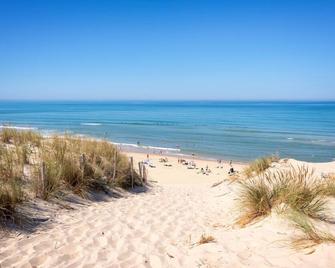 Rest, walk and enjoy the wide beach and in April Tulips!!! - 't Zand - Beach