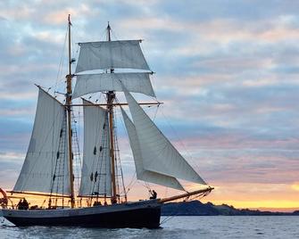 Bay of Islands Gateway Motel & Apartments - Paihia