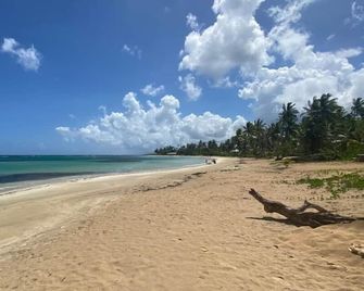 Empyrean Tropical Wellness Portillo - Las Terrenas - Spiaggia