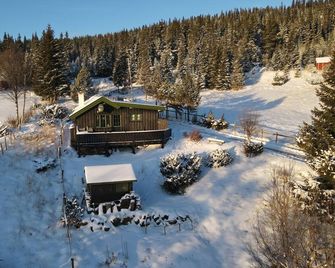 Cozy cabin with a spectacular view! Pet-friendly - 15 minutes to skiing resort! - Nesbyen - Outdoors view