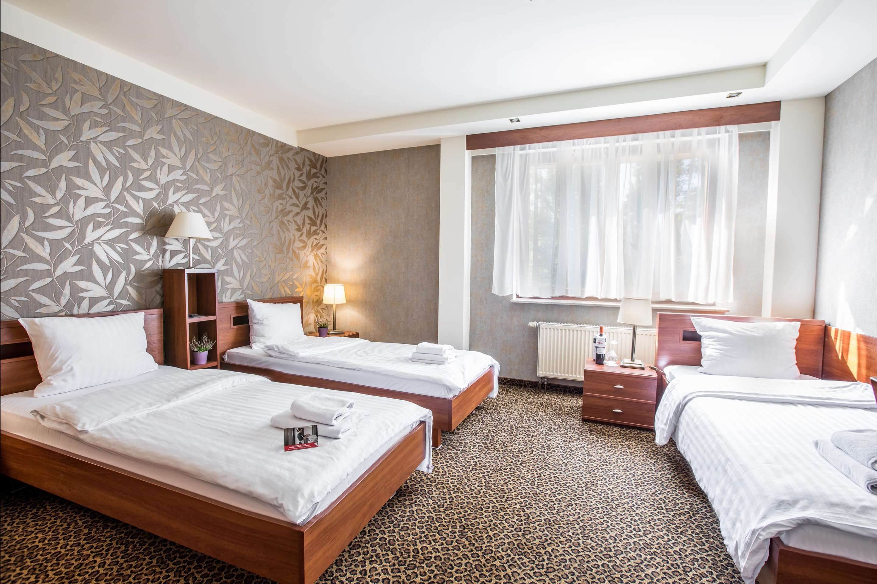 Hotel Diament Vacanza Katowice - Siemianowice thumbnail 3