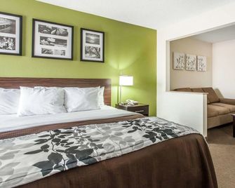 Sleep Inn & Suites Near I-90 and Ashtabula - Austinburg