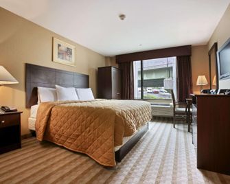 Days Inn by Wyndham Bronx Near Stadium - Bronx - Soveværelse