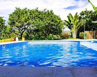 La Martina Palestina - Palestina - Pool