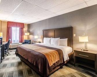 Comfort Inn Ballston - Arlington - Habitación