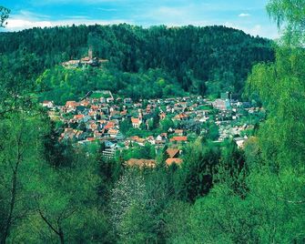 Aparthotel Hochwald - Bad Liebenzell - Außenansicht