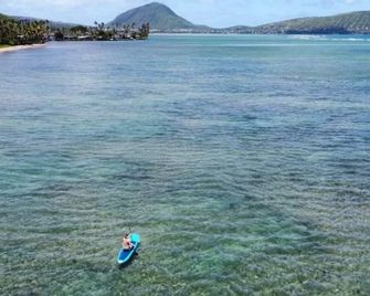 Timeless Ossipoff, Beachfront Oasis! - Honolulu - Playa
