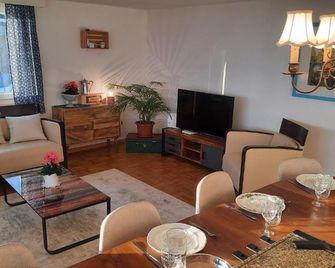 Large Apartment 8beds great for family and friends, Mountain View - Amden - Вітальня