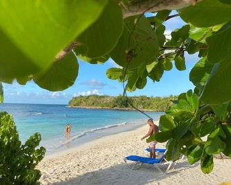 Great Palm View - Apartment 3 in Villa Coconut - Samaná - Playa
