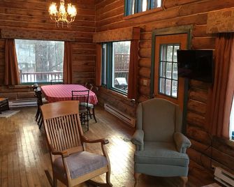 Log Cabin at Bolton Bay on Long Lake - Park Rapids - Wohnzimmer