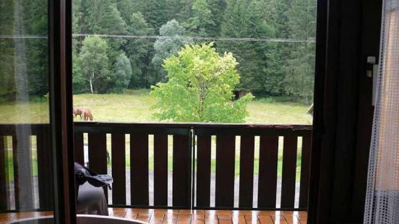 Hotel Und Restaurant Muehlencafe