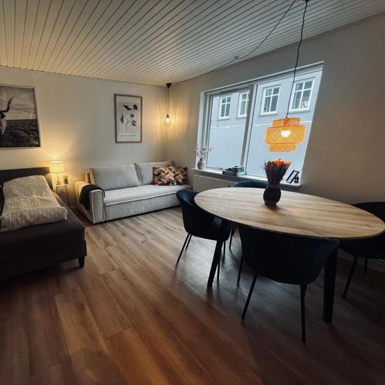 Cozy Flats Silkeborg - S2 – Silkeborg