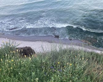 Villa with Private Pool and over 3000 m2 Wineyards & Garden - Shabla - Piscina