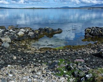 Right on the sea front bright bungalow with big secluded garden - Carna - Playa