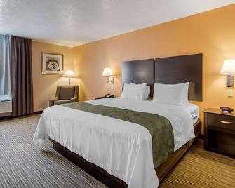 Quality Inn & Suites Albuquerque North near Balloon Fiesta Park - Albuquerque - Sovrum