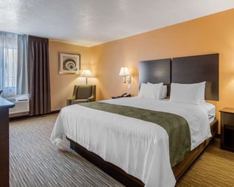 Quality Inn & Suites Albuquerque North near Balloon Fiesta Park - Albuquerque - Sovrum
