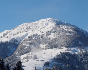 Haus Tannenhof Pension - Kirchberg in Tirol