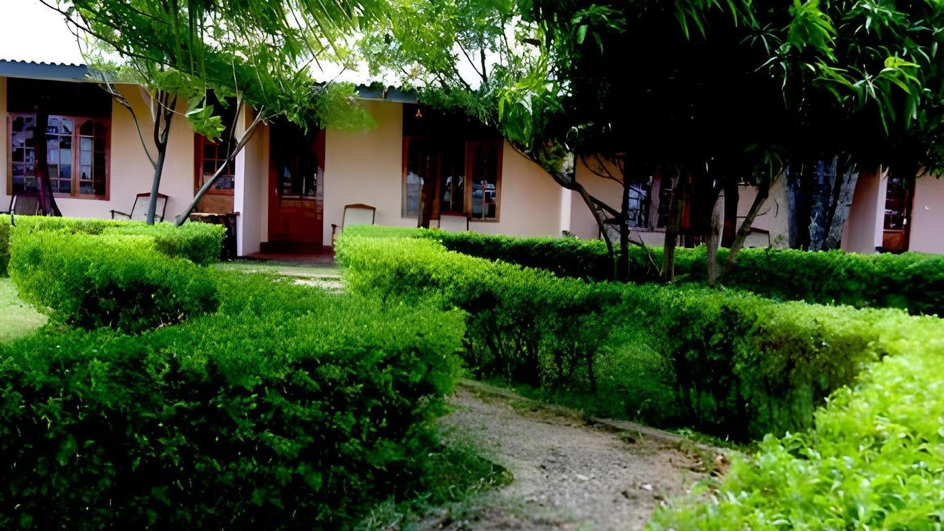 Wila Safari
