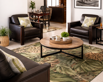 Nadi Airport B&B - Наді - Лаунж