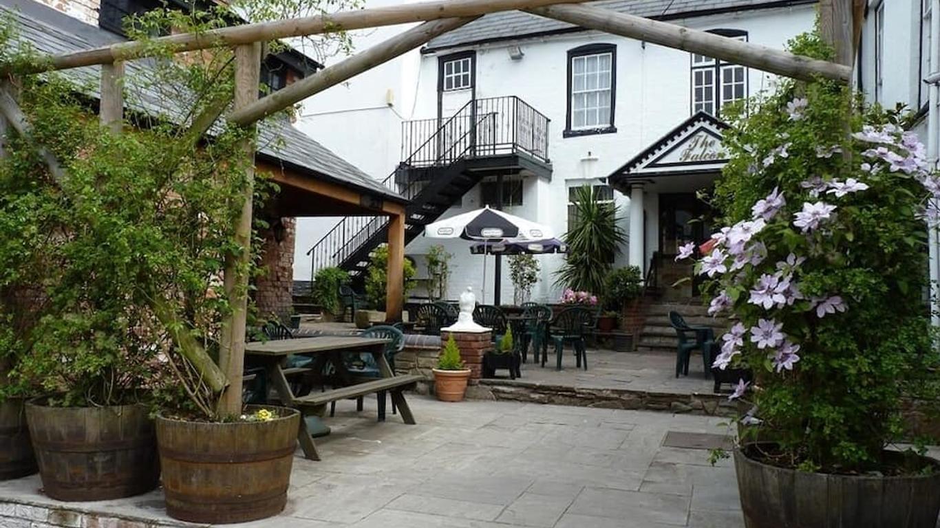 فندق ذا فالكون