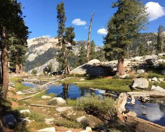 Tiny House for 2 Near Kings Canyon NP - Squaw Valley (Fresno County) - Pool