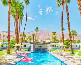 A Place in The Sun Hotel - Adults Only Big Units, 24h Heated Pool & Spa in 1 Acre Park Prime Location, Dog Friendly, Top Midcentury Modern Boutique Hotel - Palm Springs - Piscina