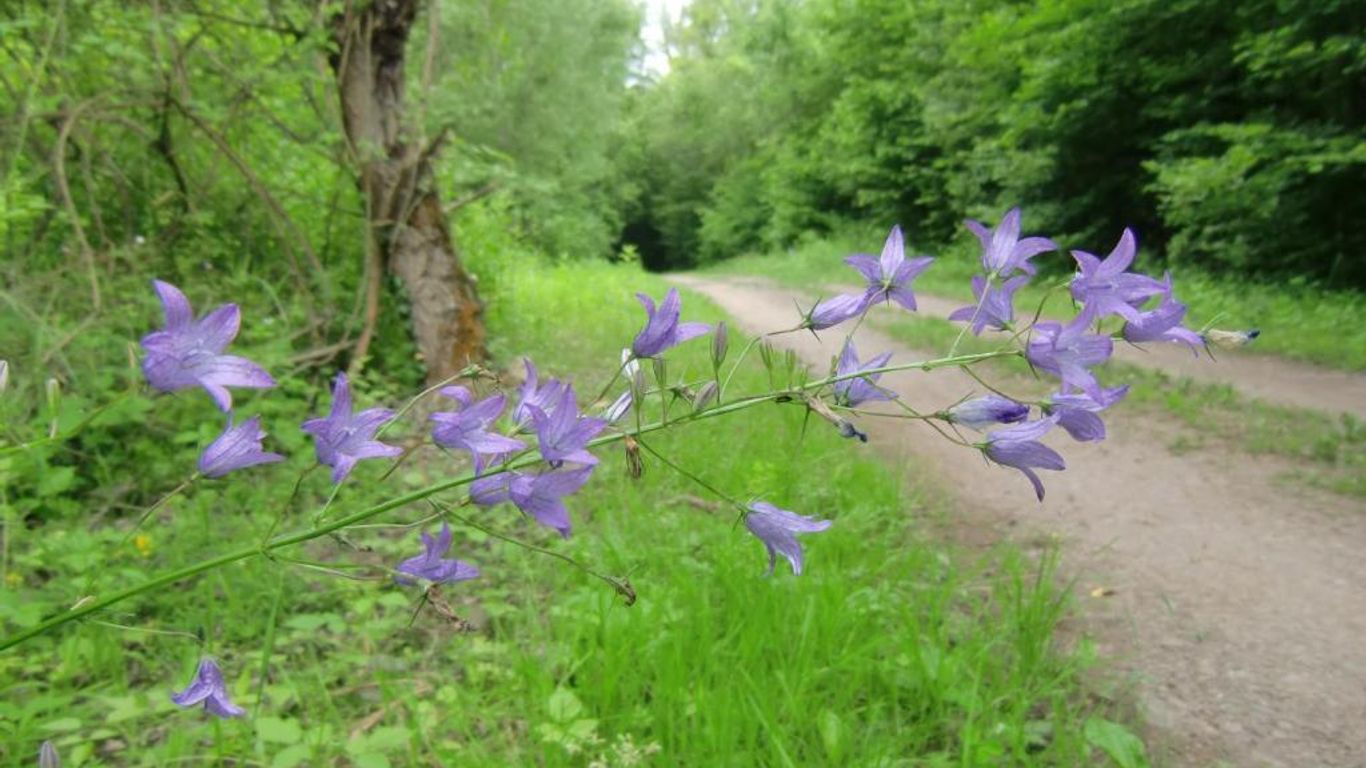 Pension Camping Schausten