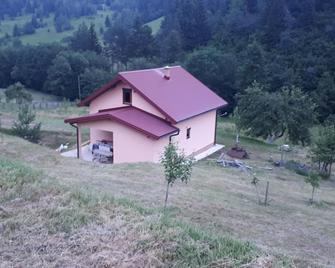 House with big garden, next to the mountain river - Plužine - Building