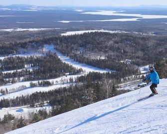 Ski Condo & Spa - L'Elegance Des Sommets - Thetford Mines