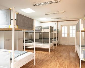Wild Elephants Hostel - Μπρατισλάβα