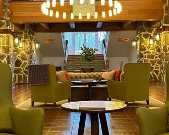 Termas Puyehue Wellness & Spa Resort - Puyehue - Lounge