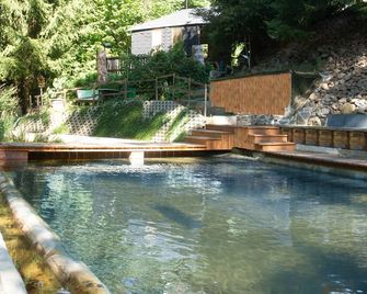 Vacation apartment, country house kitchen, directly at the park 'Fuchsgrund' - Hohenstein-Ernstthal - Zwembad