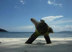 Our Bungalow Set In Front White Sandy Beach Integrated With The Jungle - Besir - Beach