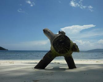 Our Bungalow Set In Front White Sandy Beach Integrated With The Jungle - Besir - شاطئ
