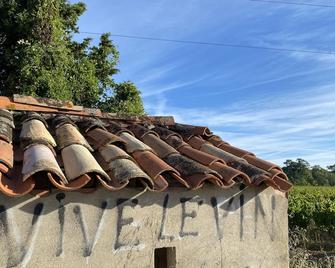 Country house on vineyard with swimming pool - Puicheric