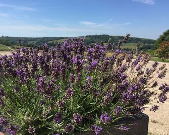South Downs Rural Retreats - Worthing - Outdoors view