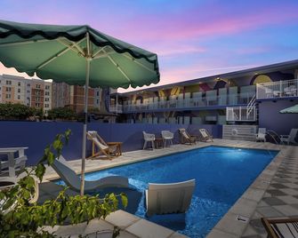 The Iris Motel - Nueva Orleans - Piscina
