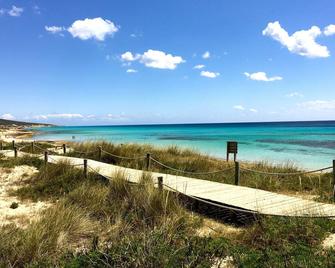 Same beach, same sea - Es Pujols
