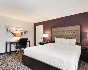 Clarion Inn & Suites Across From Universal Orlando Resort - Orlando - Habitación