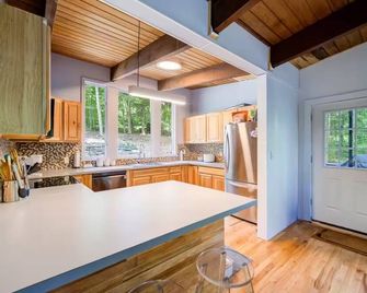 Catskills Mid-Century Modern 2-bedroom in Monticello, NY - Monticello - Kitchen